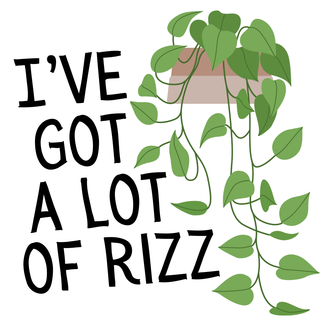 I've Got a Lot of Rizz Sticker (H8)