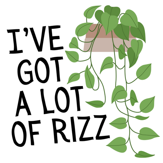 I've Got a Lot of Rizz Sticker (H8)