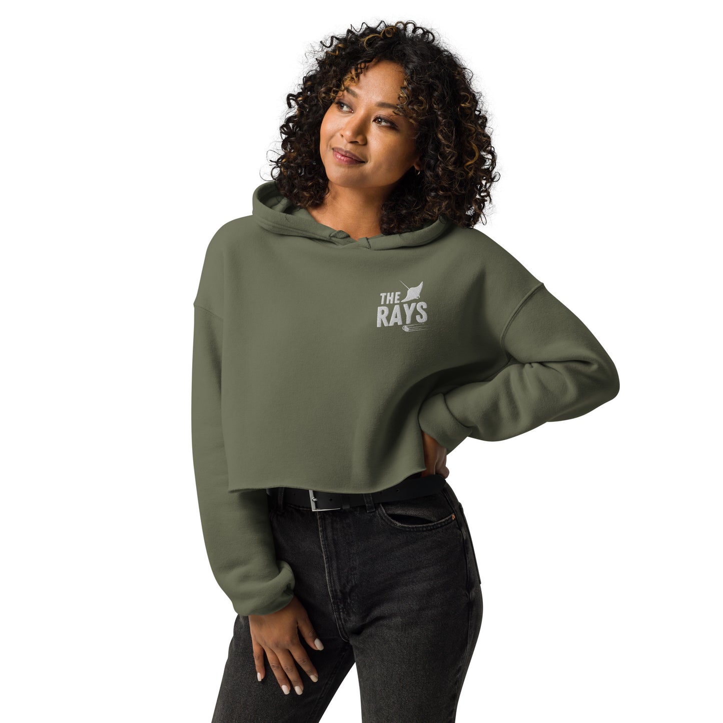 The Rays Embroidered Crop Hoodie