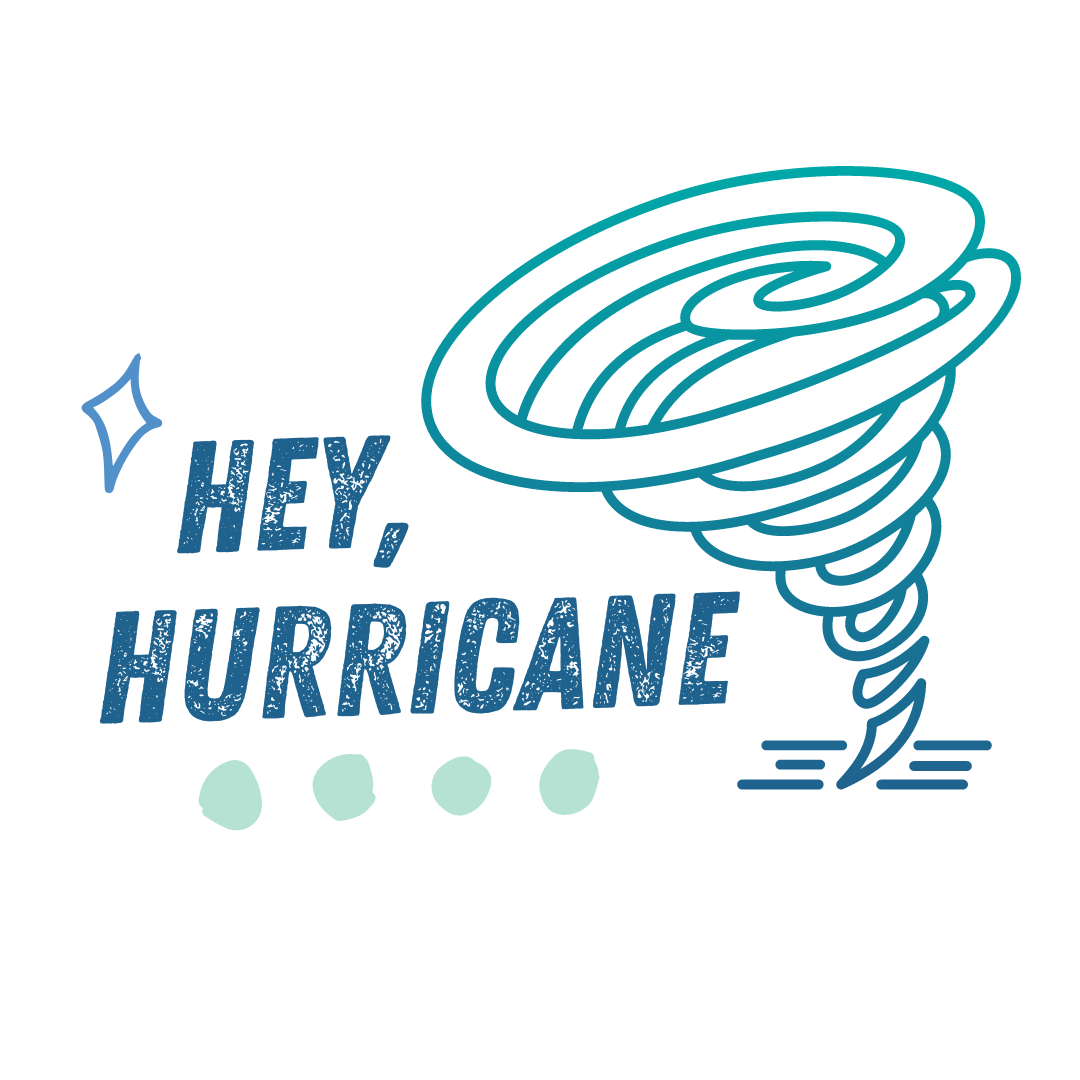 Hey Hurricane Holographic Sticker (B1) – Emily Rath Books